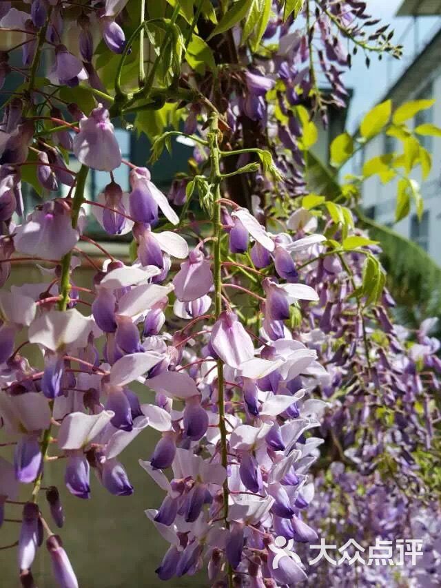 医养融合老年病医院-图片-深圳生活服务-大众点