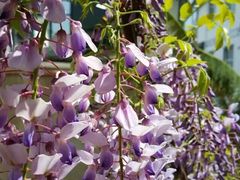 医养融合老年病医院-图片-深圳生活服务-大众点