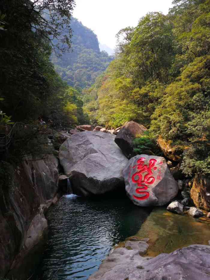 黄岗山大峡谷-"生态环境保护很好,水清透无暇,灵猴可.