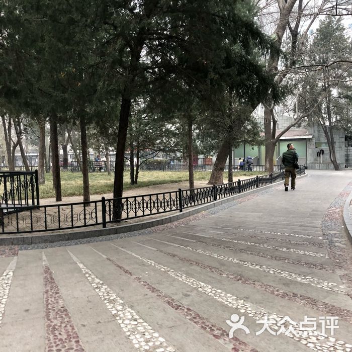 东单公园图片-北京公园-大众点评网