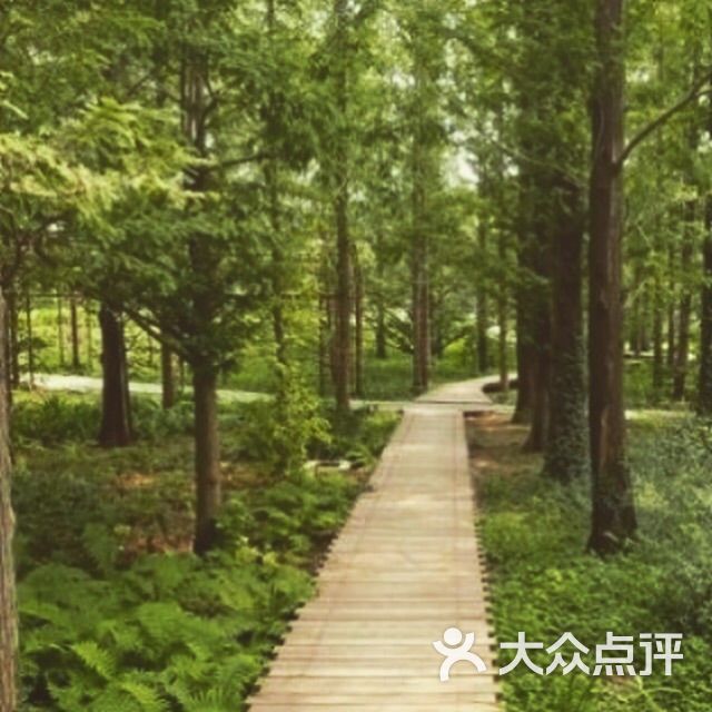 崇明田园风农家乐图片 - 第1张