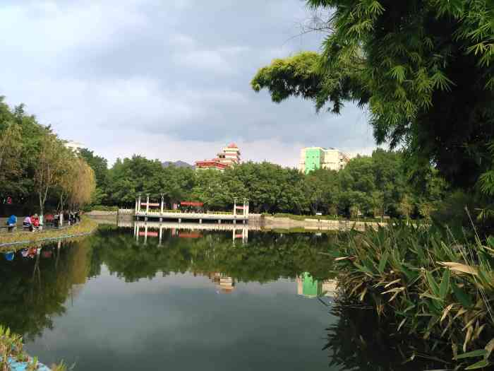 竹湖园公园-"竹湖园公园位于四川攀枝花东区攀枝花东.