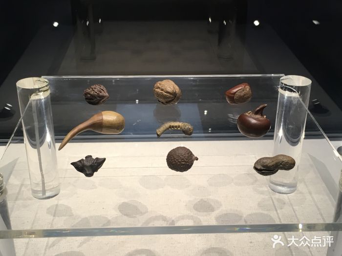 汕头市博物馆图片