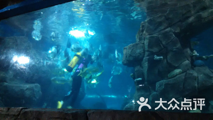 蠡湖中央公园海底世界无锡海底世界 (31)图片 - 第1422张