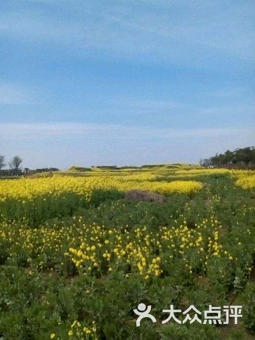 一周一行-图片-苏州景点-大众点评网