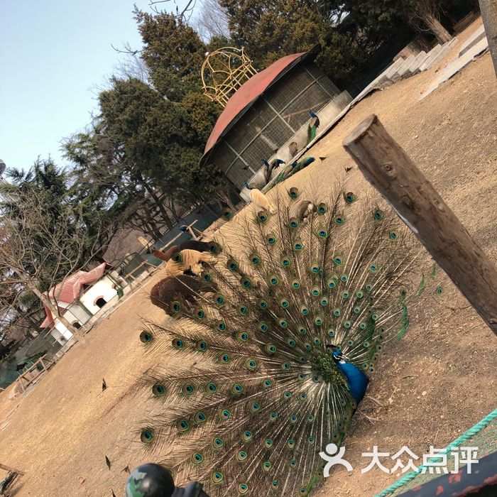 青岛动物园