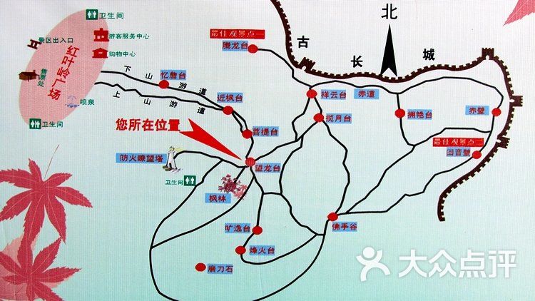 八达岭国家森林公园图片-北京自然风光-大众点评网