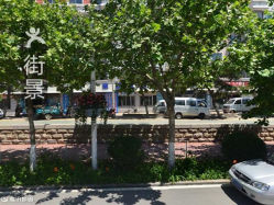 秦皇岛公司排名_秦皇岛旅行社排名(2)