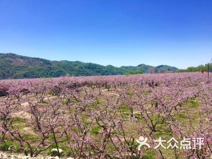 桃花岛图片 - 第1张