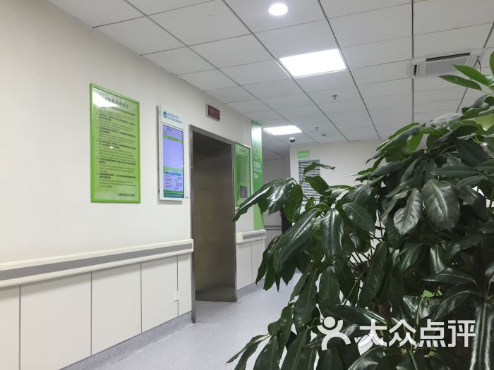 上海市普陀区中心医院-普陀区体检站
