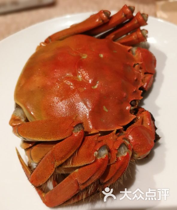度闸蟹