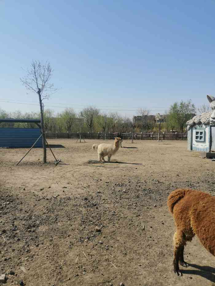 光合谷旅游度假区-"风景不错,温泉还行,有动物园和场.