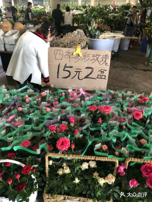 斗南花市图片 - 第22张