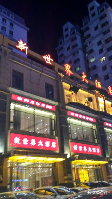 新世界大酒店图片 第1张