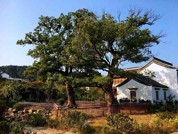 东村古村-"东村古村位于苏州西山风景区,面对太湖.此.