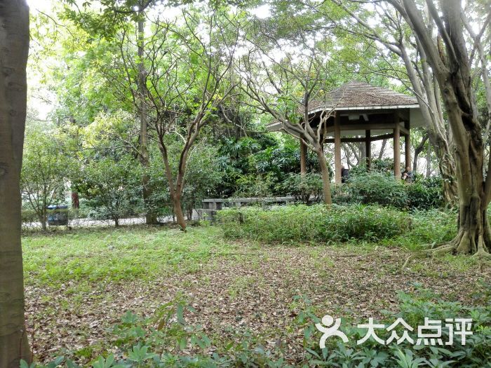 黄埔荔枝公园-图片-广州周边游-大众点评网