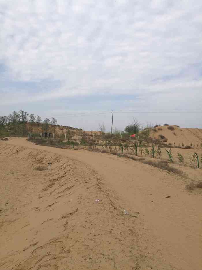 大荔皇家沙苑景区-"地方不太好找,开车快到的时候几次