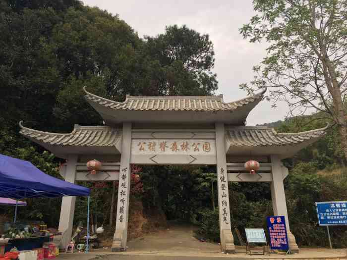 公猪脊森林公园-"老家3a级景区,入园免费,只是停车费5