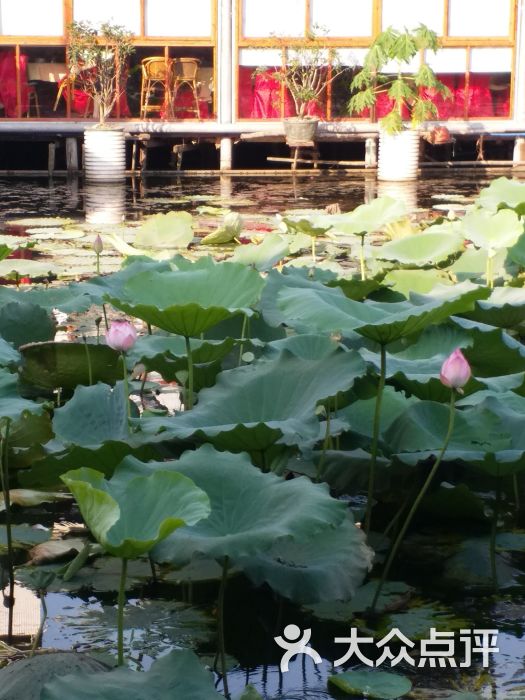 荷香居(洞企石路店)