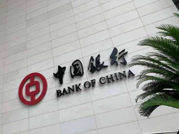 苏州中国银行流水 大众点评