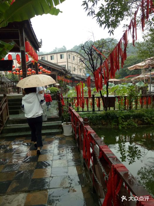 鲜龙井火锅公园(南山总店莲生湖畔区店)图片 - 第768张