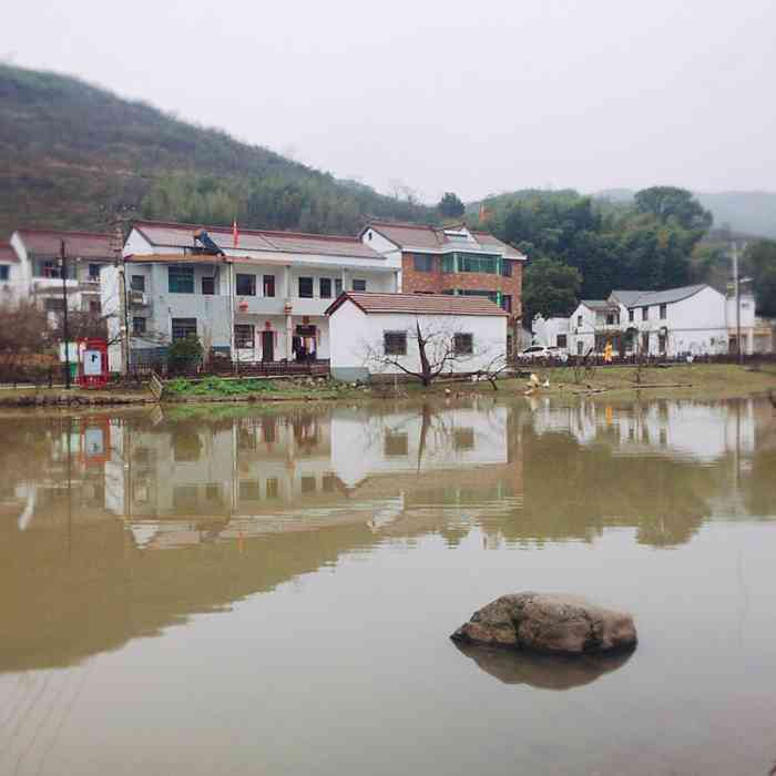 王坛东村十里梅廊-"香雪梅海景区,位于王坛镇西部的,.