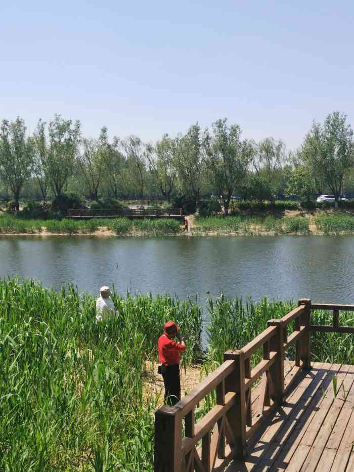 上庄水库-"从翠湖湿地公园浏览完,顺便去上庄水库转一