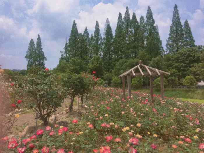 花花世界景区-"969696地址:德清县武康镇五四村