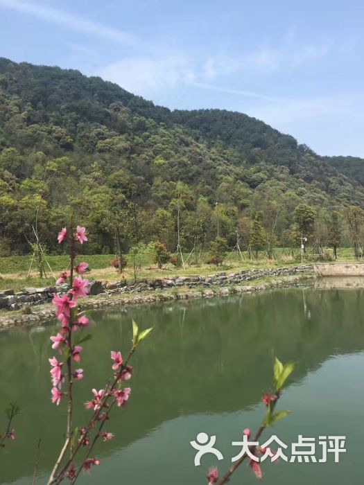 南山湖风景区-图片-嵊州市周边游-大众点评网