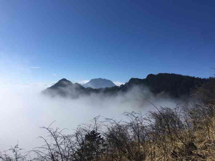 西岭雪山滑雪场-"西岭雪山最高峰庙基岭海拔5364米,是