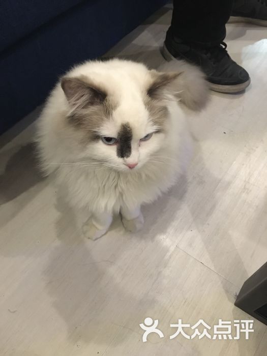 斐同梵相:临时决定去拍结婚登记照 &n.上海生