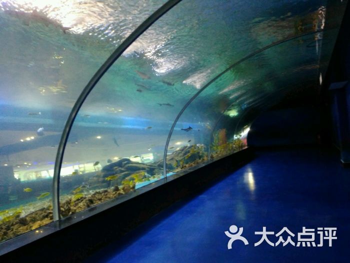 顺盈海洋世界图片 - 第48张