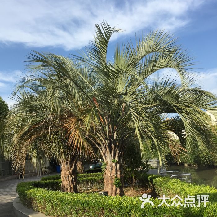 庙港文化公园图片 - 第3张