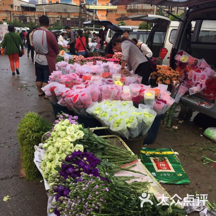 岔街1号花卉市场-图片-昆明购物-大众点评网