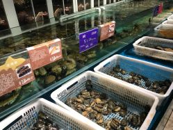 新华都海物会人均