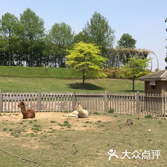 上海辰山植物园