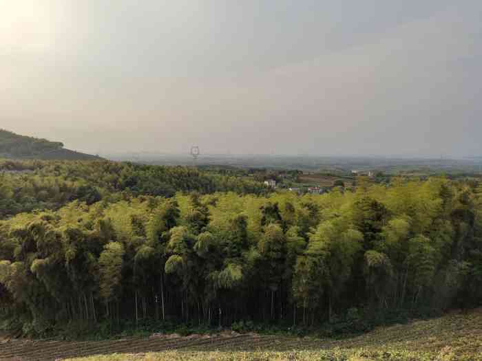 笄山竹海-"来广德农家休闲养生游,顺道周边逛逛,笄山.