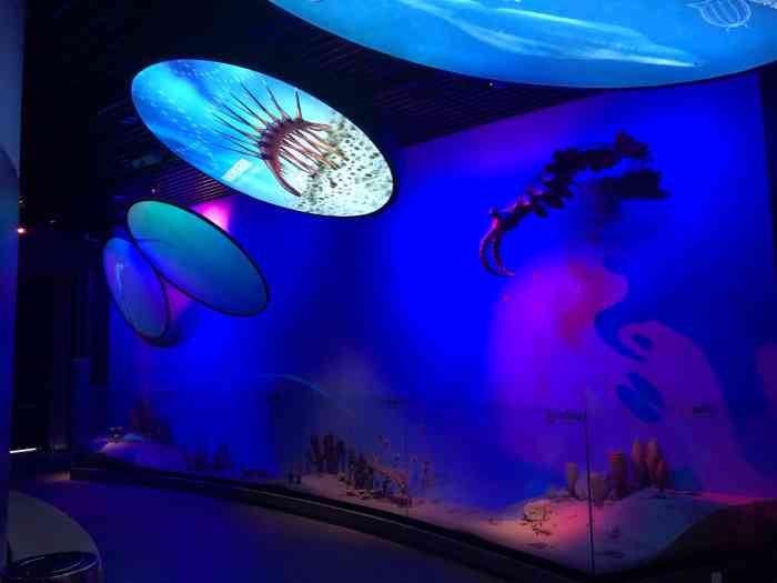 国家海洋博物馆-"国家海洋博物馆位于天津市滨海新区3