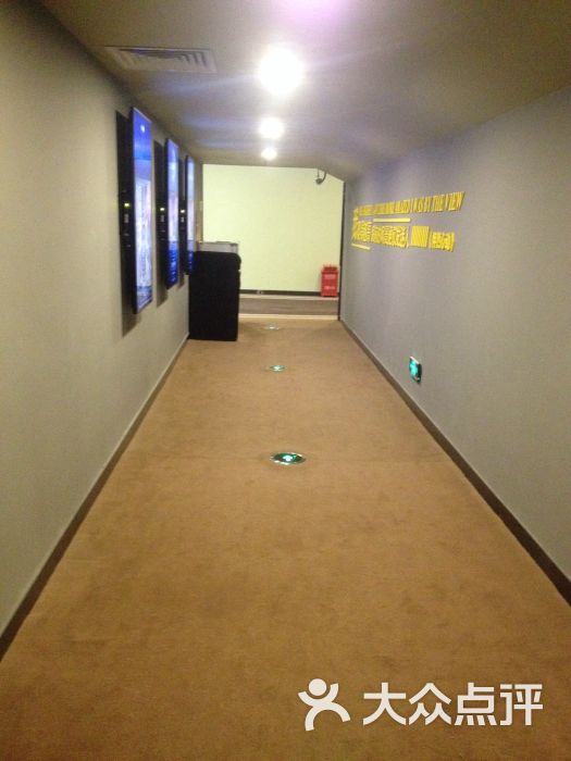 大地影院(新洲华盛店)-图片-渭南电影