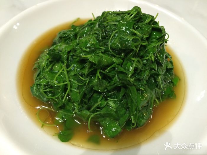 锦园上海菜(人民广场店)草头图片 第1192张