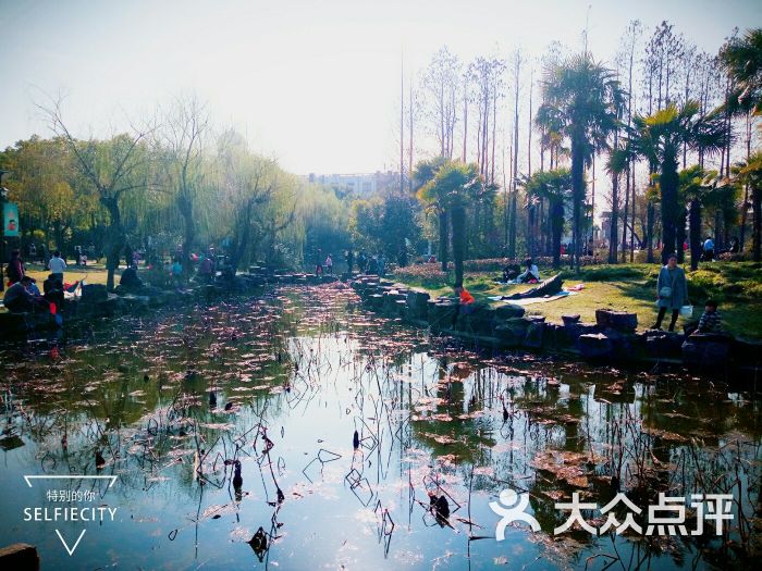 泗泾公园图片 - 第49张