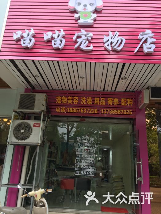 喵喵宠物店上传的图片