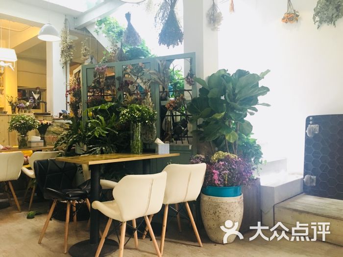 小时光 多肉植物主题咖啡馆(北锣鼓巷店)图片 - 第1张