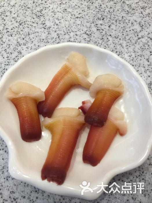 兰花蚌