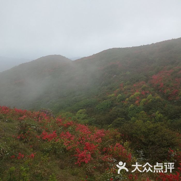 八卦脑景区
