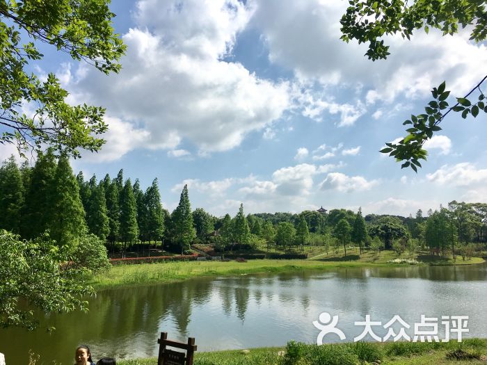 长沙园林生态园图片 - 第9张
