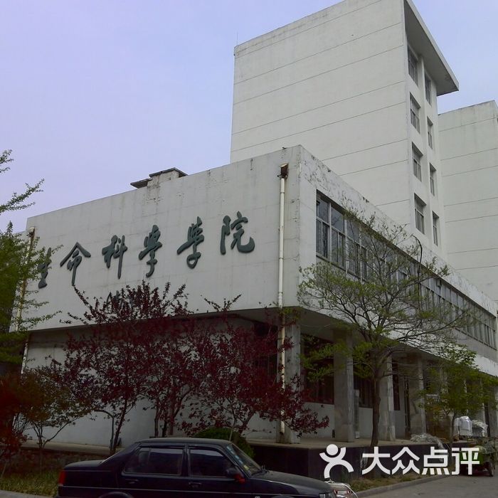 山东大学生命科学学院教学楼图片-北京大学-大众点评网