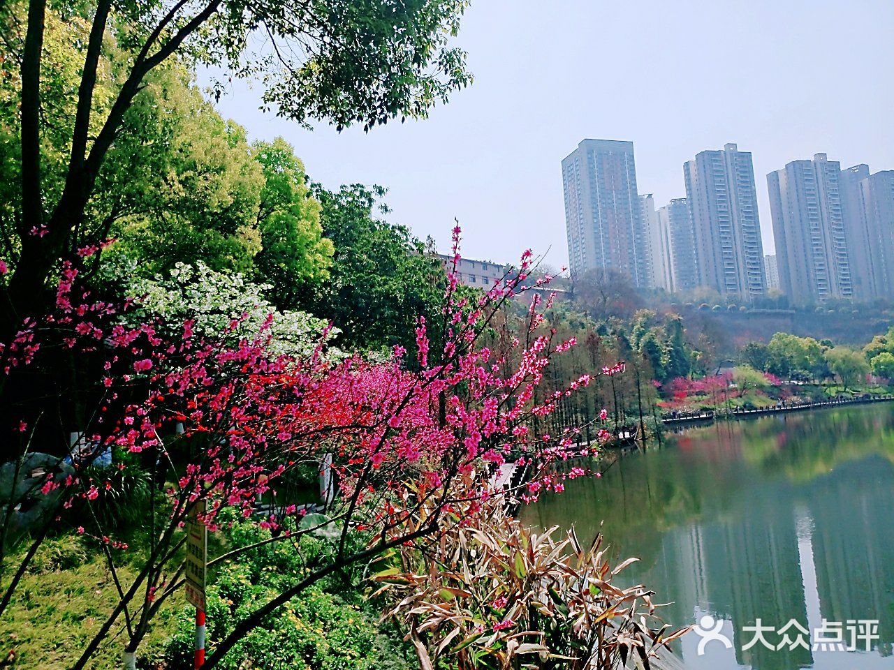 初春三月,阳光明媚,彩云湖公园也开园了