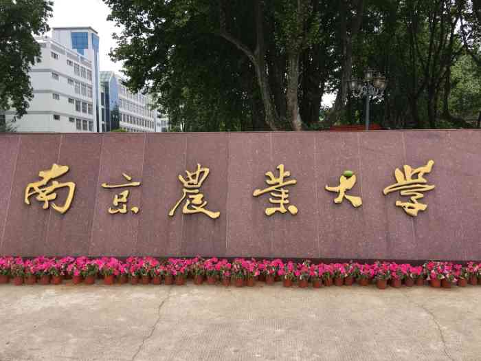 南京农业大学(浦口校区)-"工学院在卫岗这边简直就是传说级别的存在,.