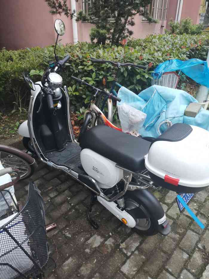 新日新大洲小牛电动车